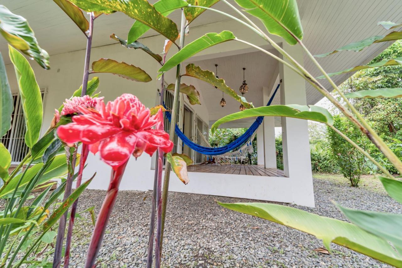 Pineapple House Manzanillo Villa Manzanillo  Exterior photo