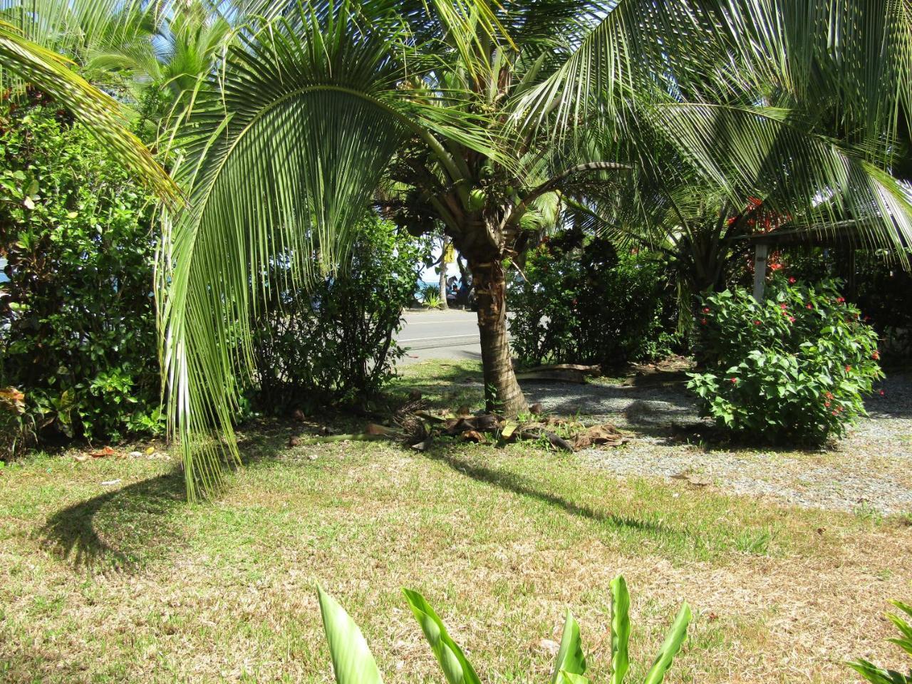 Pineapple House Manzanillo Villa Manzanillo  Exterior photo