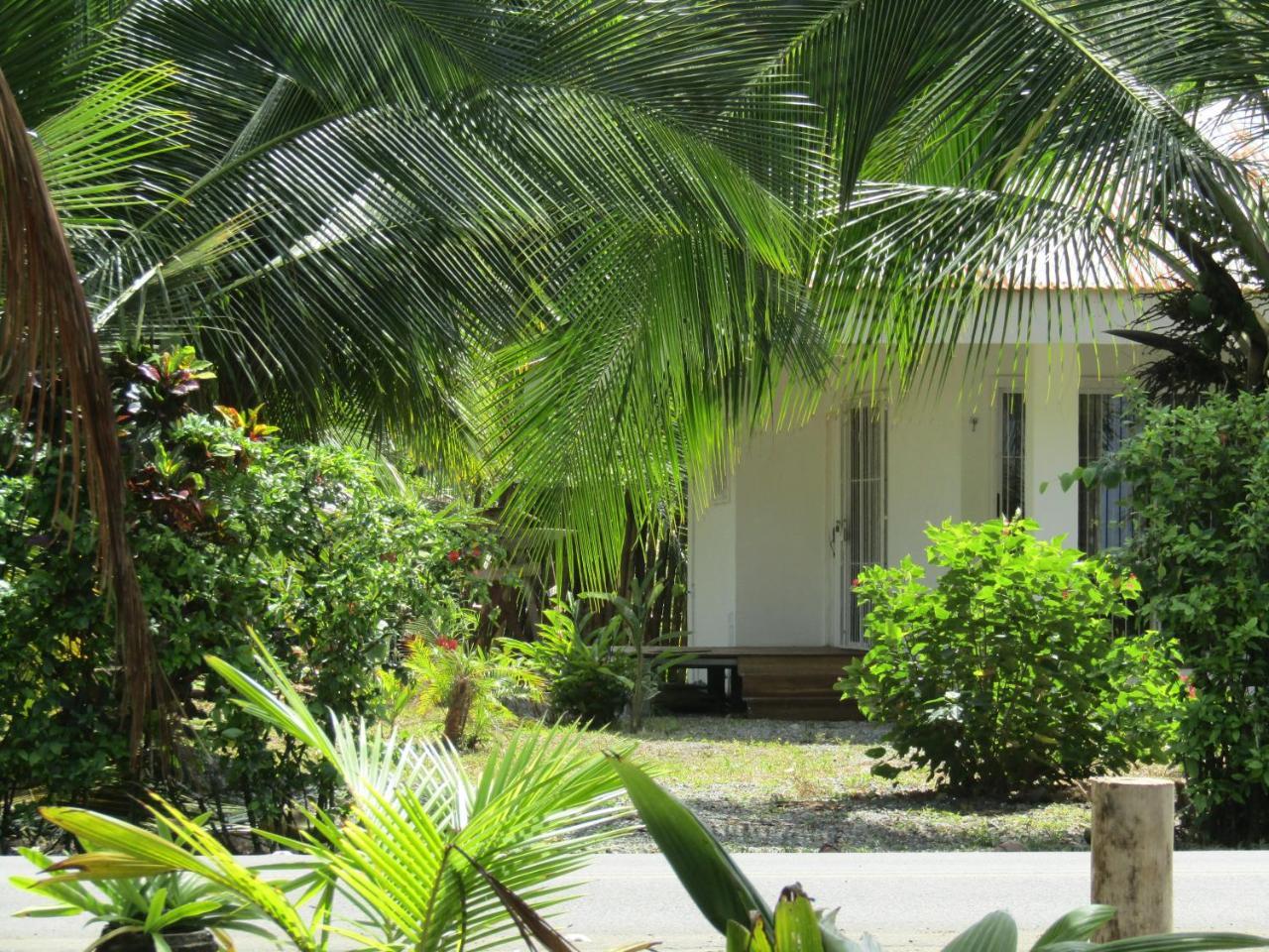 Pineapple House Manzanillo Villa Manzanillo  Exterior photo